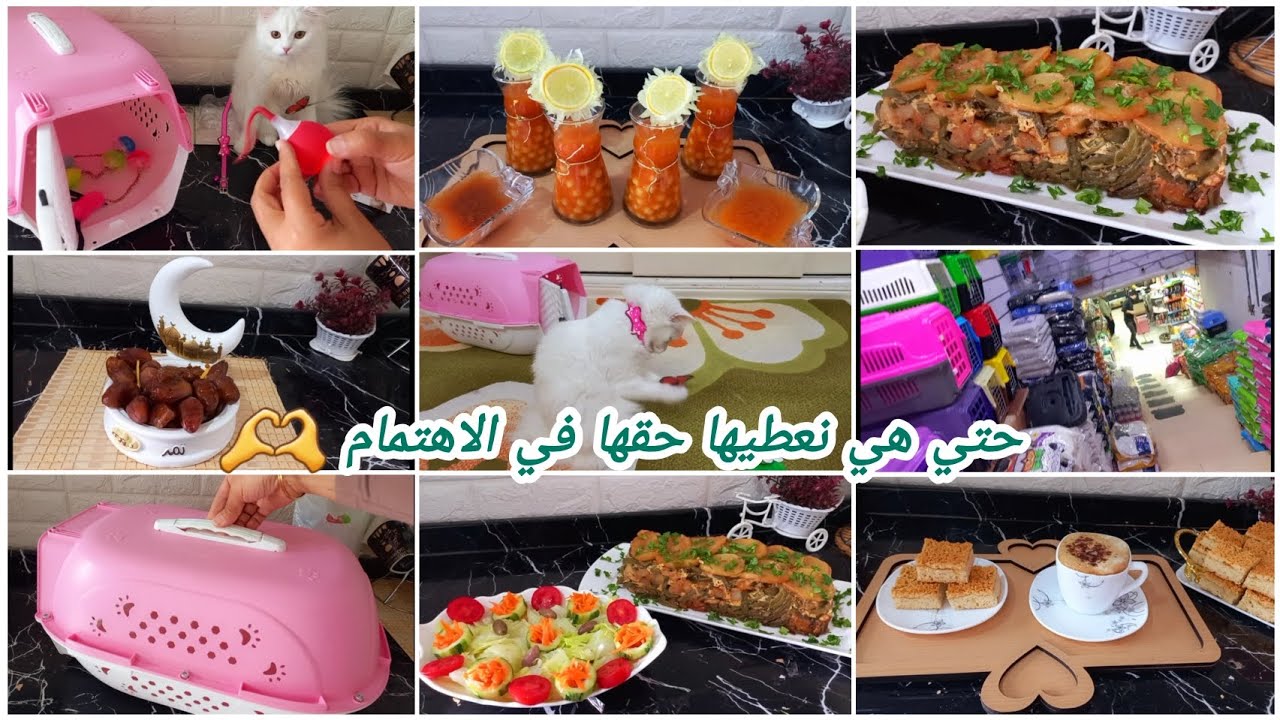 نتوما تاني ولادكم كيما بناتي😭شوفو المصريين باه يدفوا رواحهم في الشتاء (حلبسا)👌بنتي الثالثة واهتمامي 