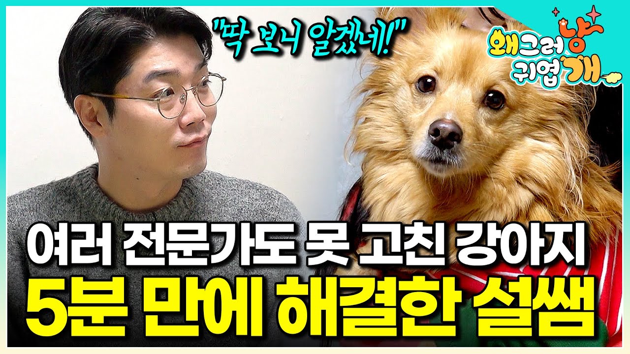 많은 전문가도 두손 두발 다 들고 포기했다. 차가운 화장실만 고집하는 강아지의 문제 행동을 단번에 이해한 설채현 수의사│#왜그러냥귀엽개