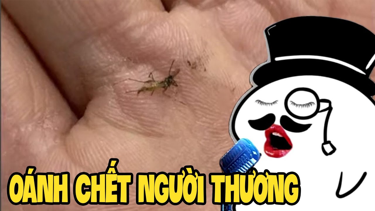 (TALKSHOW) TẠM BIỆT NGƯỜI YÊU DẤU | Monsieur Tuna