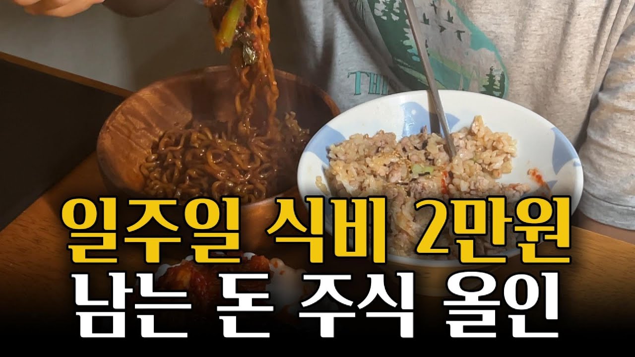 최저시급으로 시작한 평범한 직장인의 경제적 자유 도전기! (SCHD, JEPQ 포트폴리오 공개)