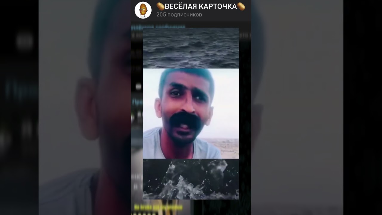 МЯУУУУУ АХАХАХА #приколы #смех #рекомендации #тикток #мем #мемы #shorts