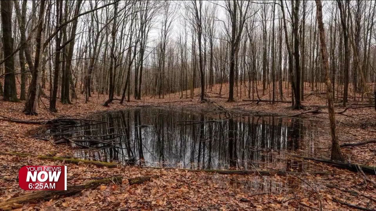 JAMPD explains what vernal pools are in our area woodlands