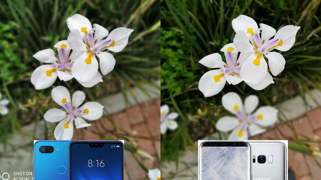 🔥Samsung Galaxy S8 vs Xiaomi MI 8 Lite CAMARA TEST Foto & Video ¿Cuál es mejor?