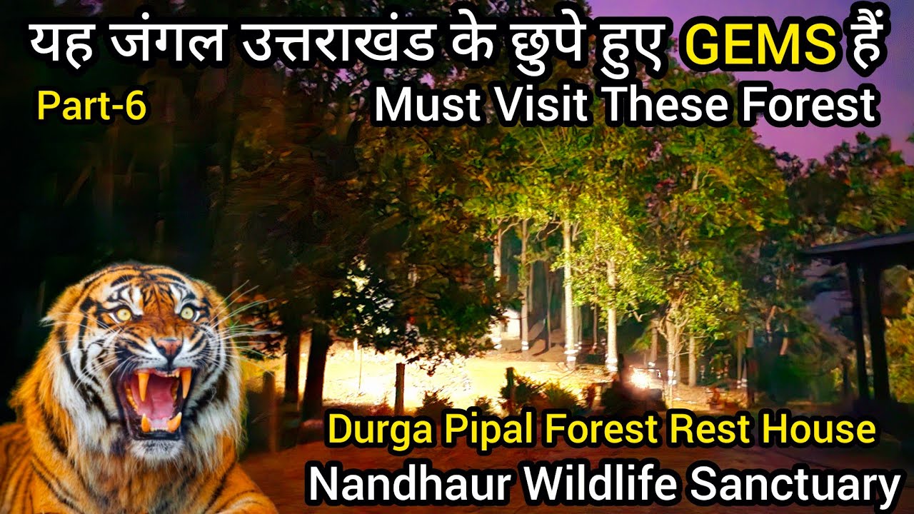यह जंगल उत्तराखंड के छुपे हुए GEMS हैं | Must Visit These Forest | Nandhaur Wildlife Sanctuary