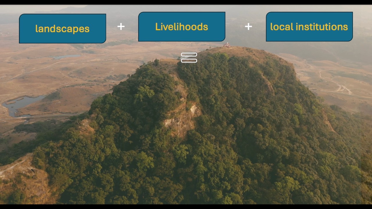 MegLIFE Meghalaya - Community-Based Forest Management & Livelihood ImprovementFinanced by JICA