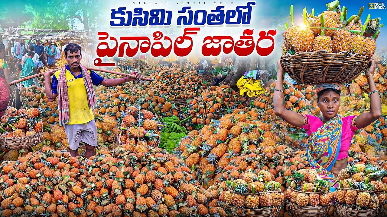 ఈ సంతలో దొరికే పైనాపిల్ మరెక్కడ దొరకదు || kusimi tribal market || kusimi santha