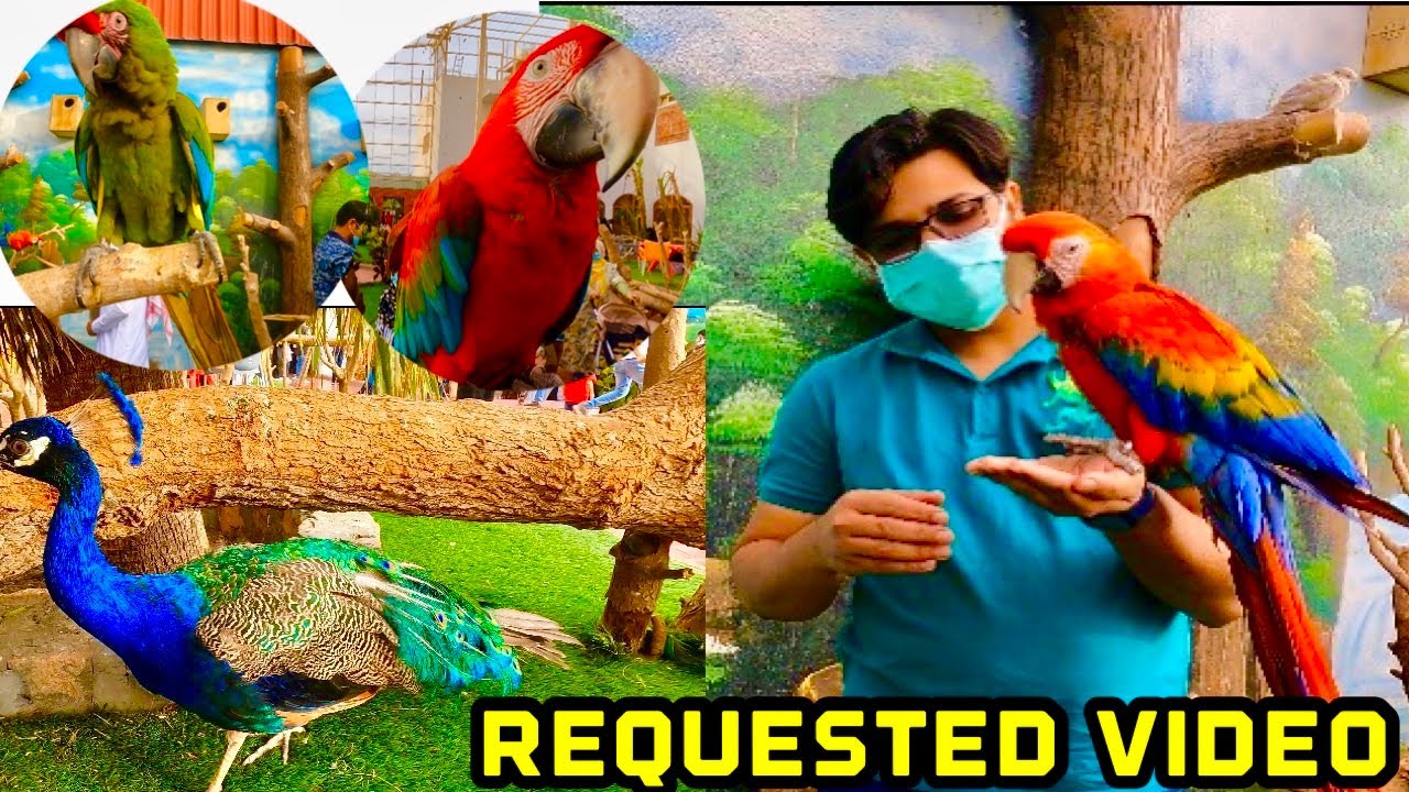 Bird park Al HAda Taif | tourist place Taif
| LN’s Signature|saudi tourism