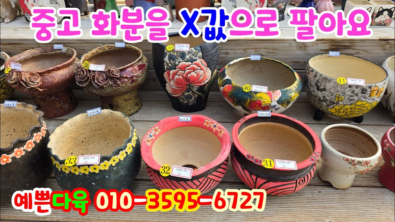 251208📍#예쁜다육 4종모둠 2만원, 윤빛분 지당분 윤공방분 바이수분 고센분 꽃담분 언화분 읍내분 휘경분 숙분 민지분 산토방분