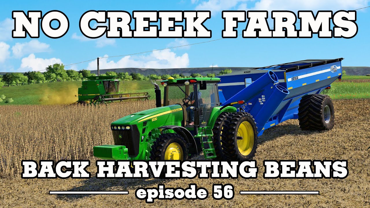 Back Harvesting Beans -  No Creek Farms - FS19 Episode 56