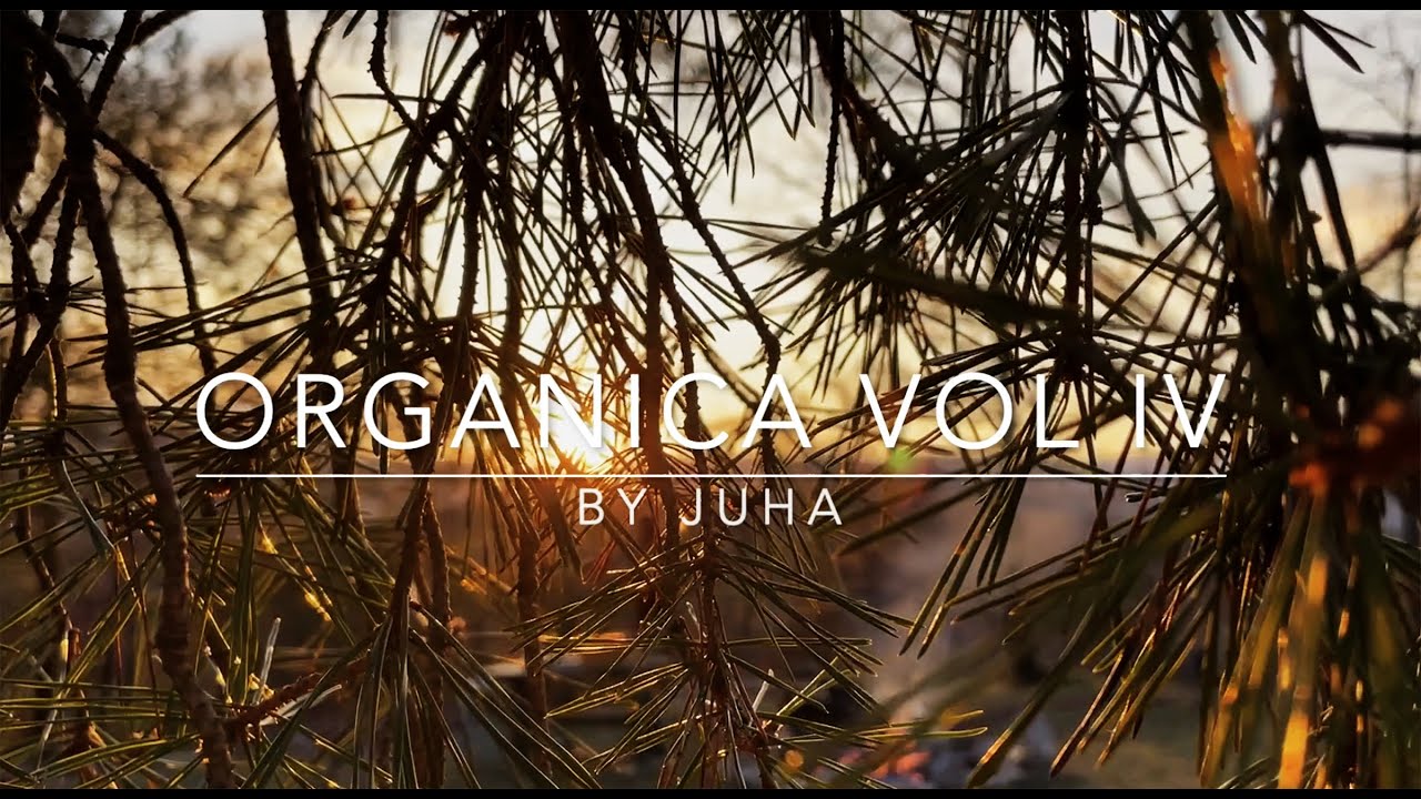 Organica Vol IV (an organic house & downtempo hybrid dj set)