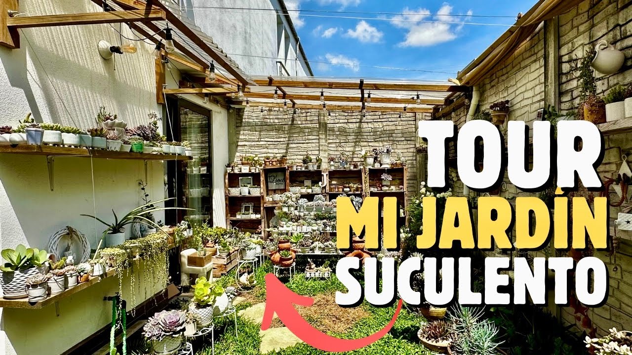 🪷TOUR con NOMBRES de SUCULENTAS de mi jardín vintage en Guatemala🇬🇹🌵😍