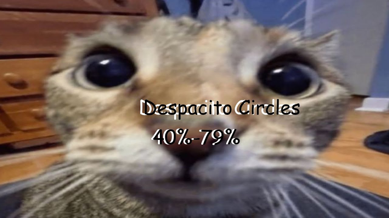 Despacito Circles Run #1 (40%-79%)