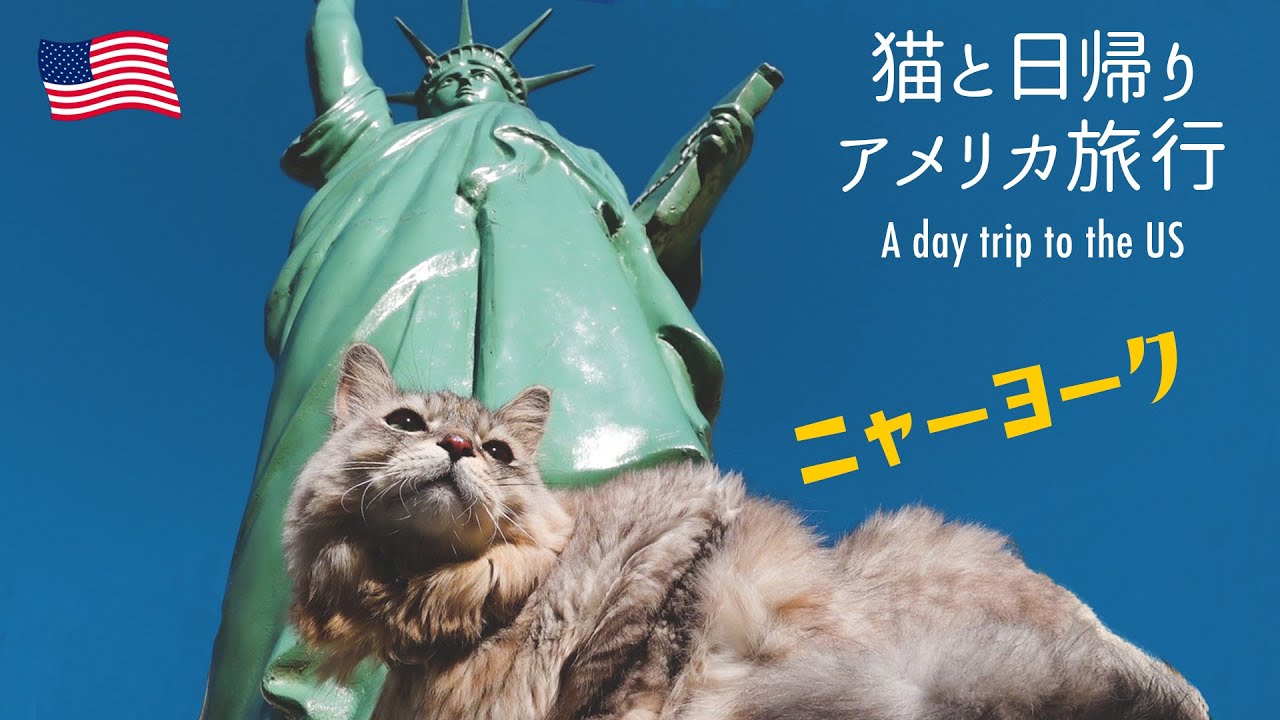猫とアメリカ日帰りドライブ旅行！ふわふわ毛並みの保護猫ハル / A day trip to the US with fluffy Cat HAL