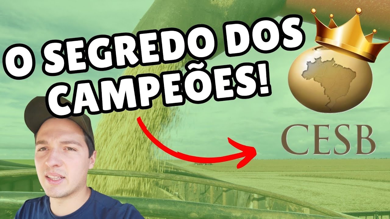 Qual o SEGREDO dos CAMPEÕES DE PRODUTIVIDADE do CESB???