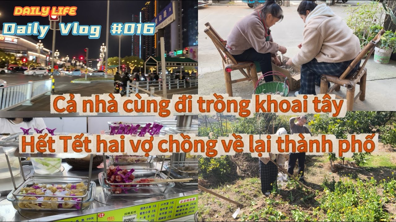 (16) Lần đầu cùng cả nhà đi trồng khoai tây - Chính thức hết Tết và đi lên thành phố