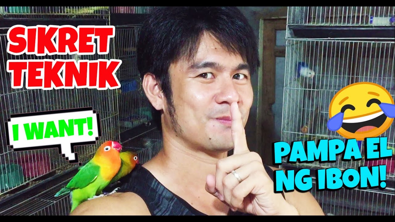 PAMPABILIS DUMAMI NG IBON!