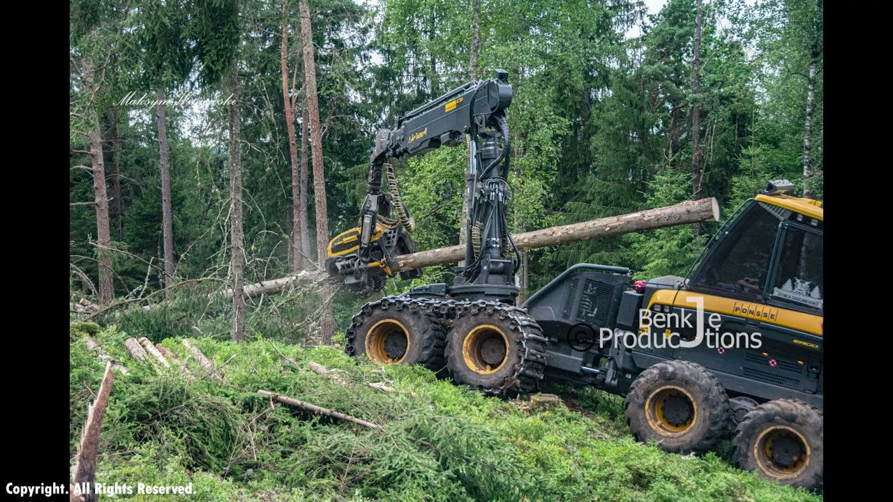 Nedtagning av skog 2025/07/21 (4)