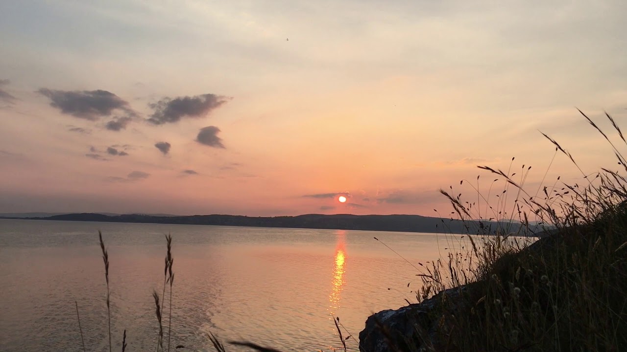 Life Loves You: Falling into Trust