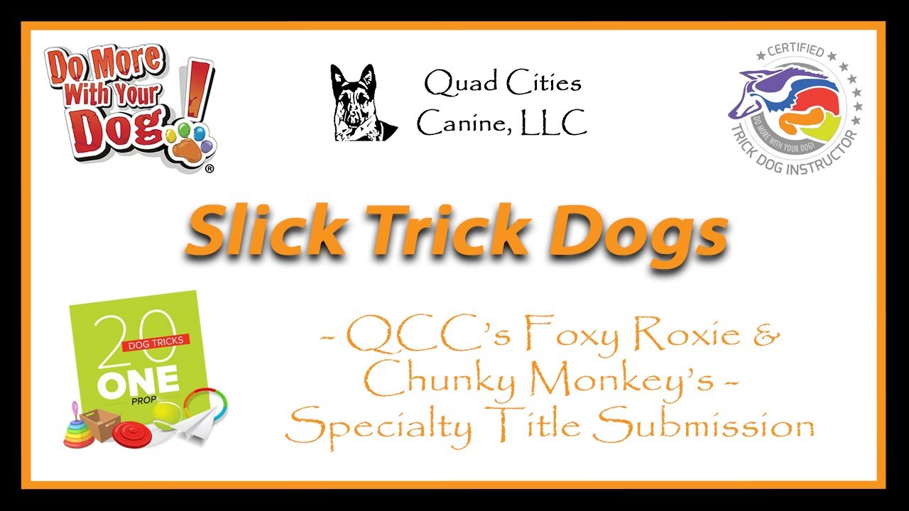 20 Dog Tricks One Prop - Roxie & Chunk