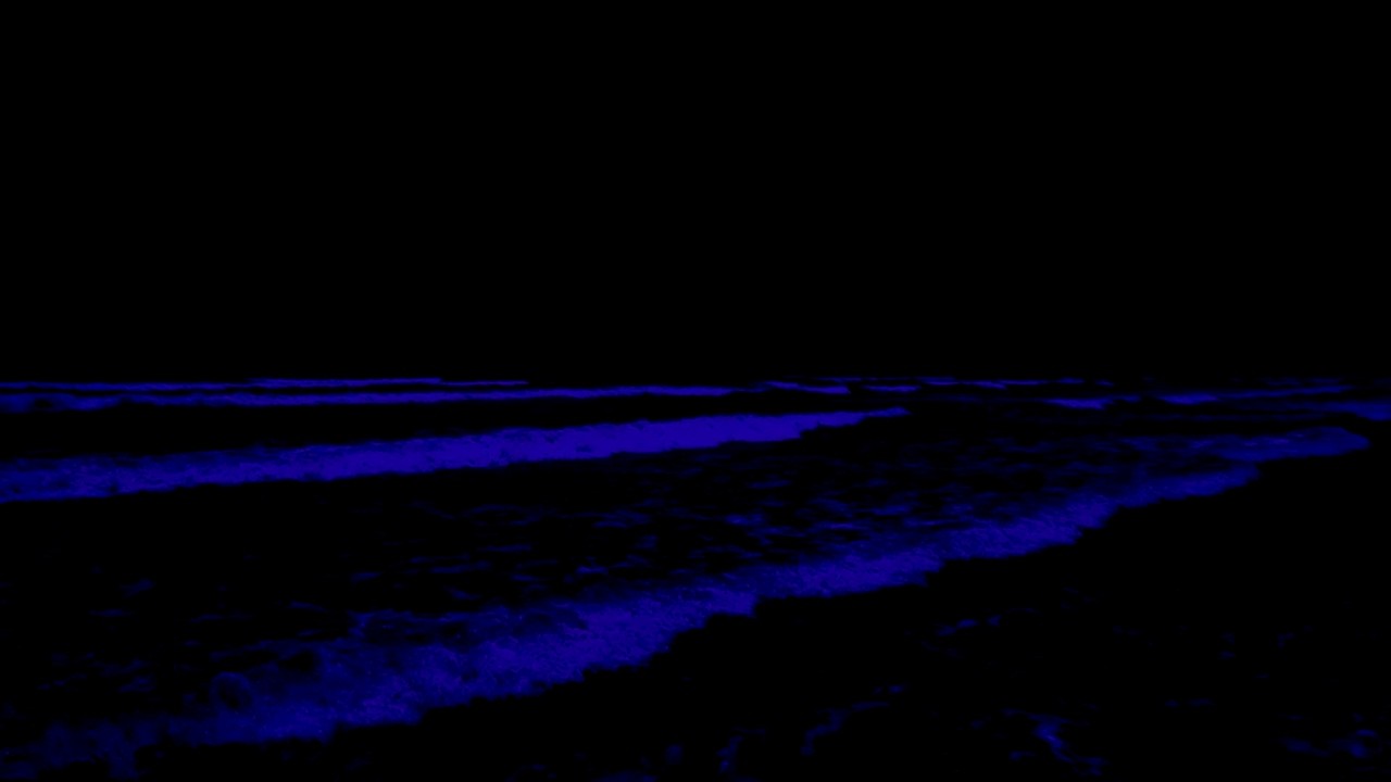 (No Ads) Fall Into Deep Sleep Ocean Sounds For Adhd • Natural White Noise for Sleeping & Relaxation