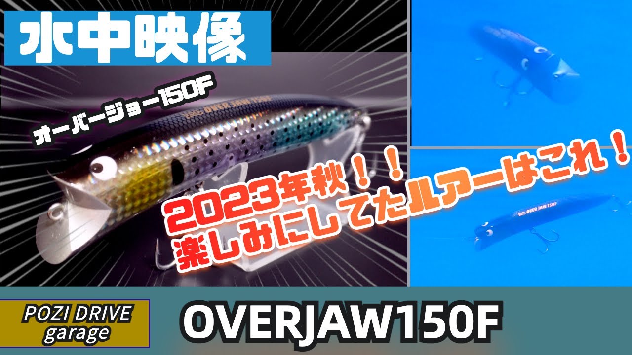 【水中映像】ポジの新作！これでシーバス釣りたい！【オーバージョー150F】【ポジドライブガレージ】
