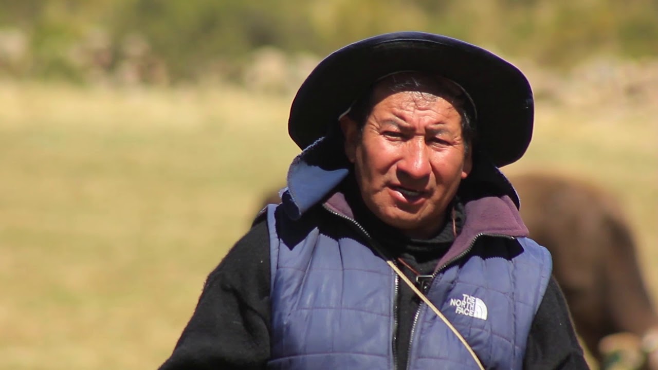 La Pulpera - Arequipa (Queso orgánico)