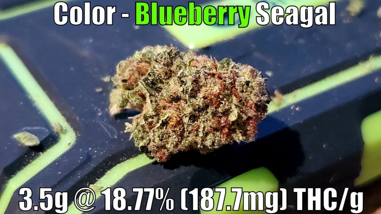 Color - Blueberry Seagall Unboxing Review - 3.5g @ 18.77% (187.7mg) THC/g (+Extreme Closeups)