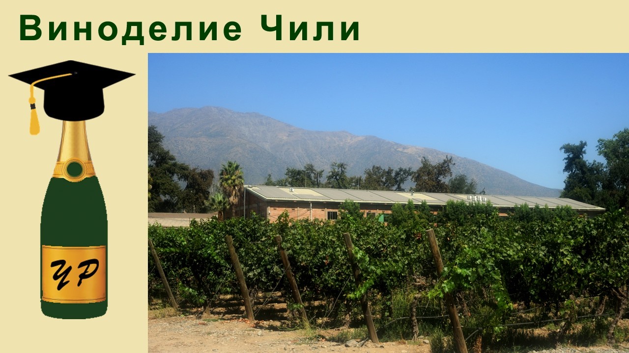 Виноделие Чили .  С каждым годом все лучше.