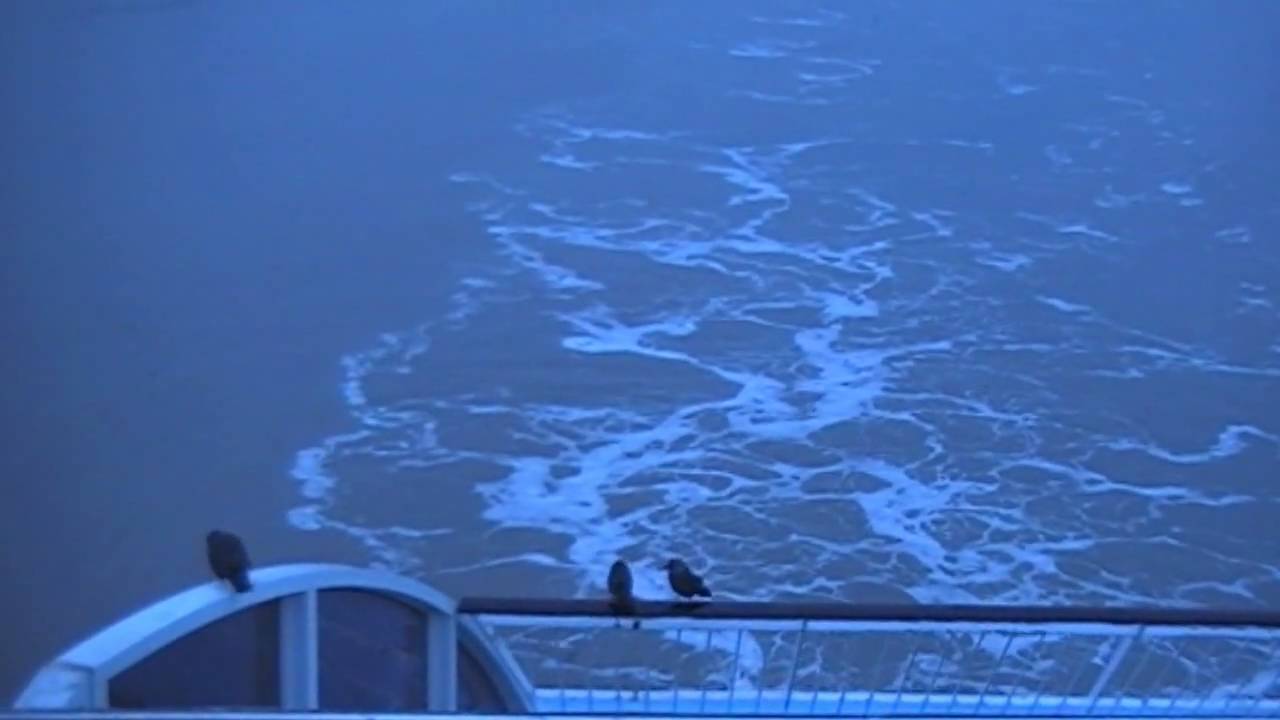 Silja Galaxy arrives in Turku