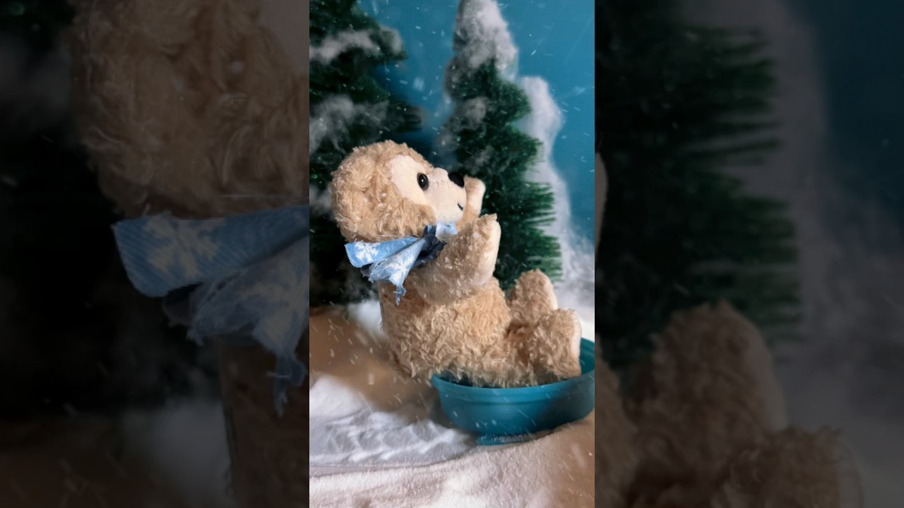 A Sled Ride with Duffy! 