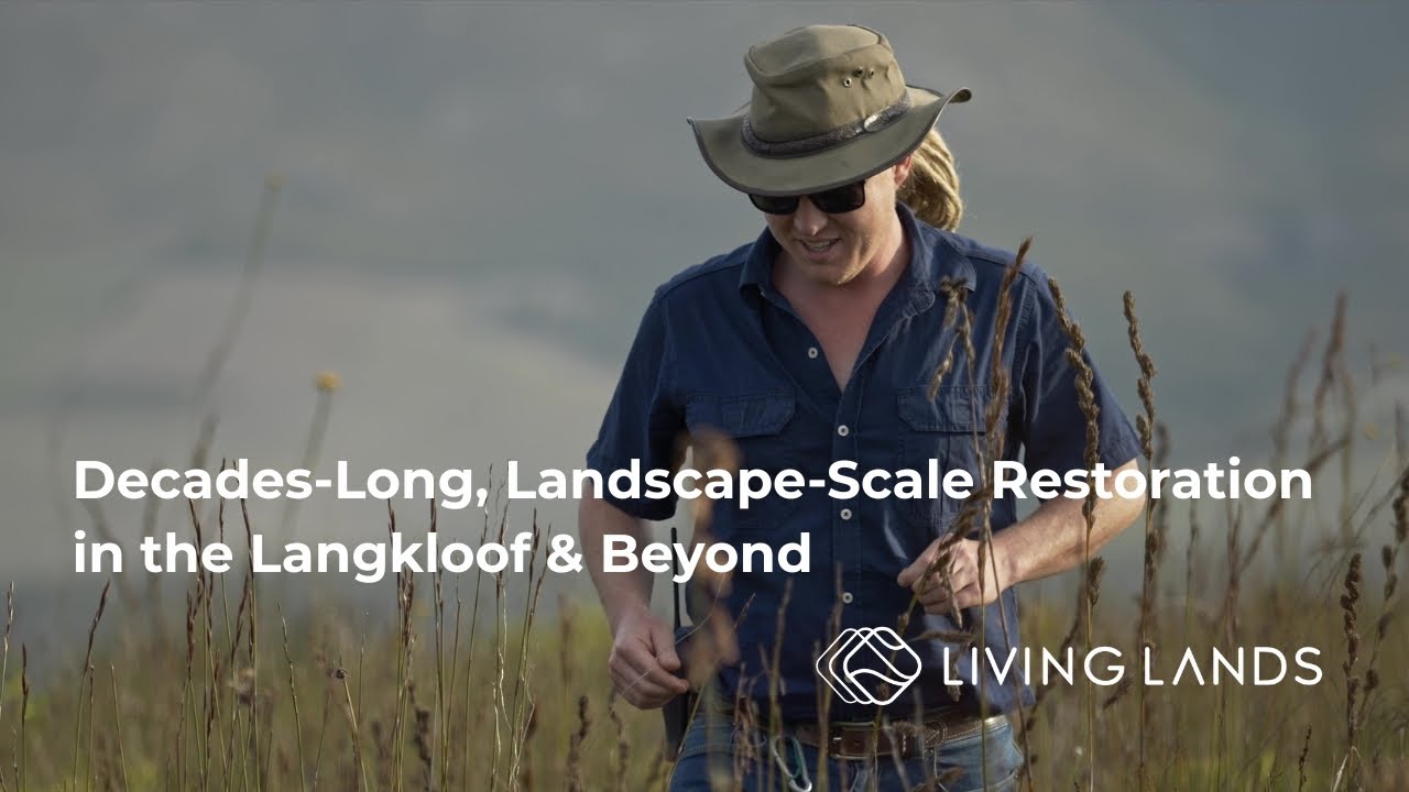 A 20-Year Commitment to Tackling Land Degradation at Scale | Living Lands Episode 3