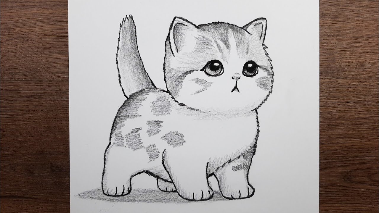 Kedi resmi nasıl çizilir - Sevimli kedi çizimi - Kolay hayvan çizimleri