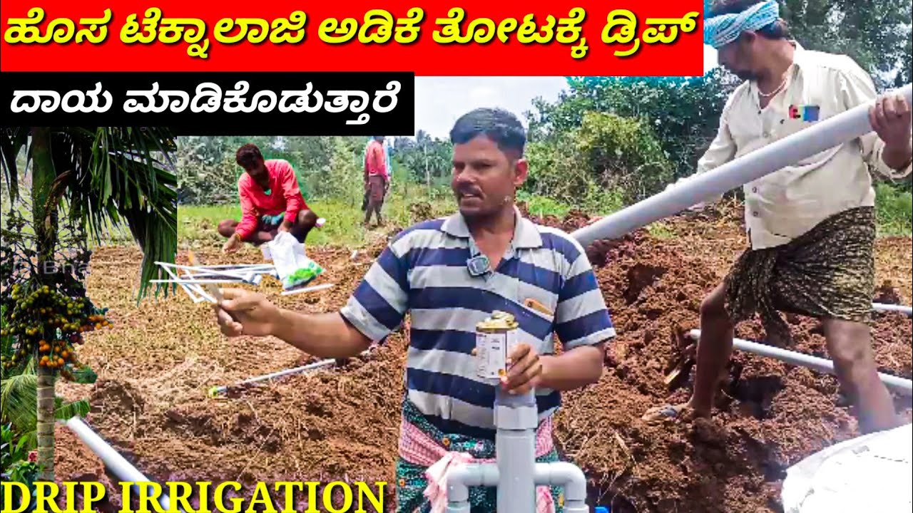 ಹೊಸ ಟೆಕ್ನಾಲಜಿಯಲ್ಲಿ ಅಡಿಕೆ ತೋಟದ ಡ್ರಿಪ್ ಮಾಡಿಕೊಡುತಾರೆ NEW TECHNOLOGY DRIP IRRIGATION IN ARECA PLANTS