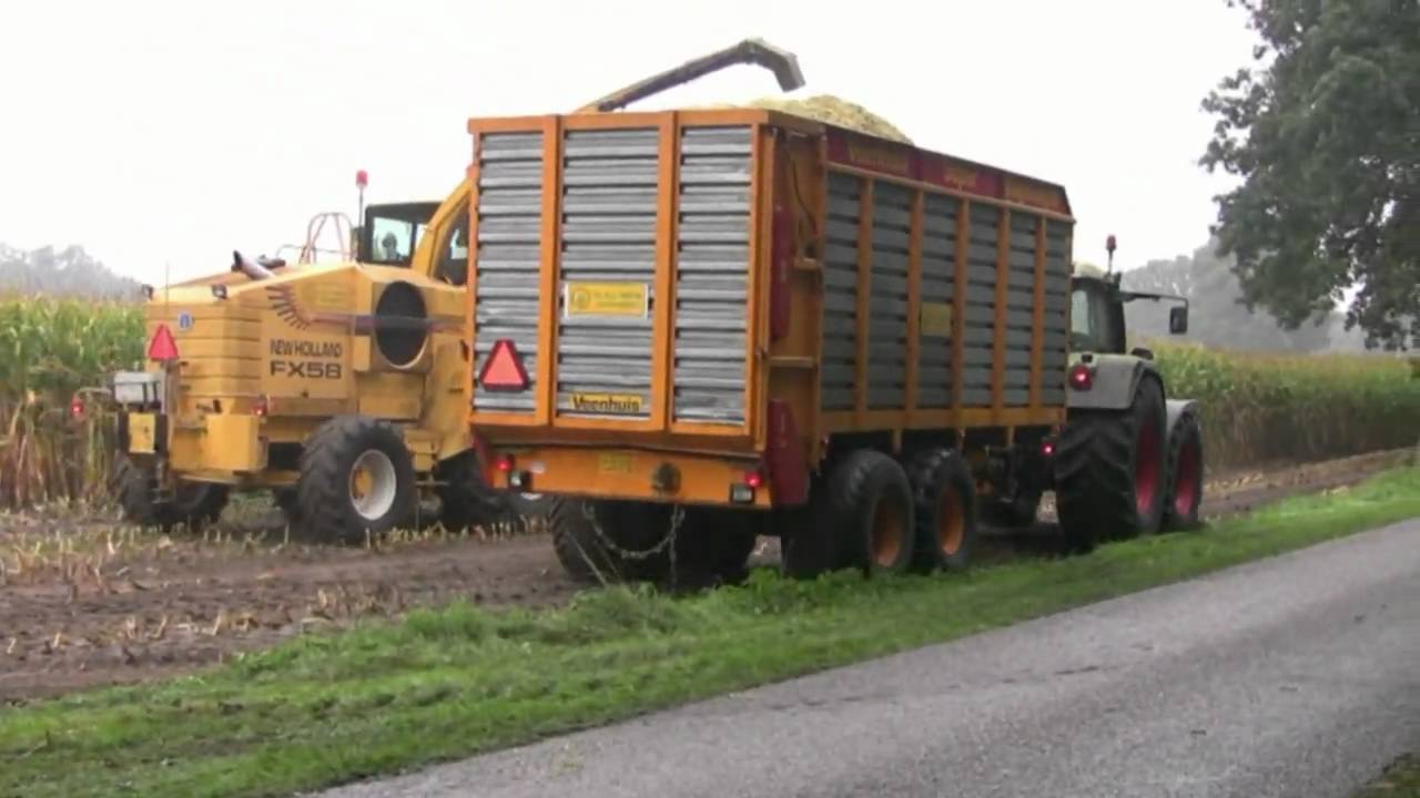 Maiskneuzen Oud Bergentheim