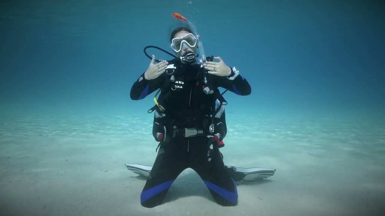 Regulator Retrieval (Alternate)