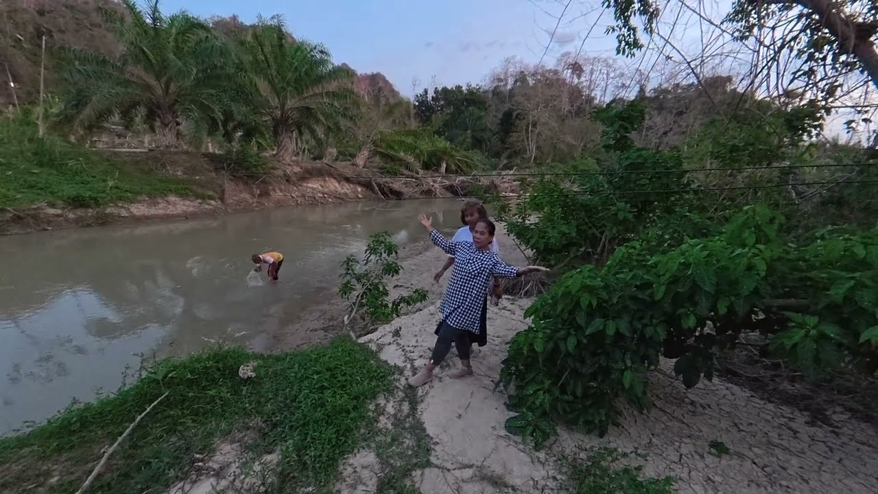 สวนทุเรียนบูเก็ตภูตะวัน