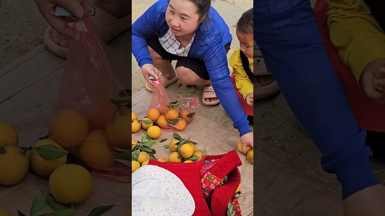 Harvesting Eggs On The Farm - The Life of a 17-year-Old Single Mother
