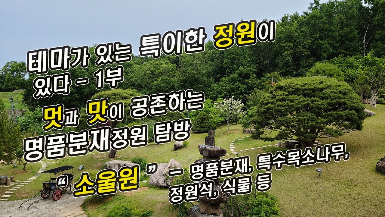 BUNJAE(분재)#52_분재 덕후가 혼을 담아 만든 힐링동산_테마가 있는 특별한 정원_파주 소울원_영혼이 맑아지는 공간_ 알기쉬운 분재와 조경_초보분재탈출-1부