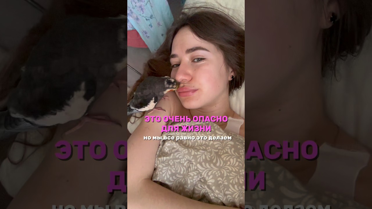 Это очень опасно для жизни, но мы все равно это делаем