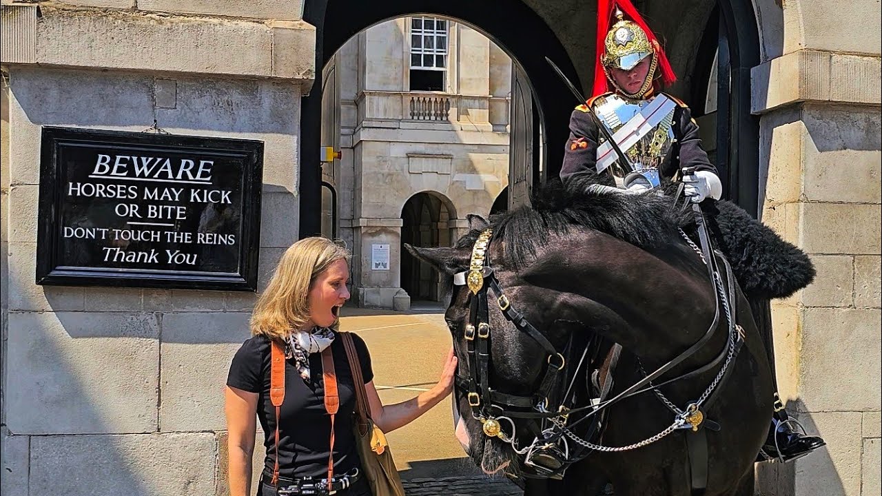 KING'S HORSE MAKES RUSSIAN-AMERICAN TOURIST CRY - I speak with her at Horse Guards!