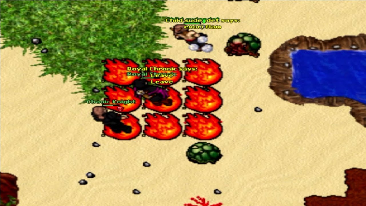 Classic Botter in the Tortoise Island (Fortera 2008 8.1)