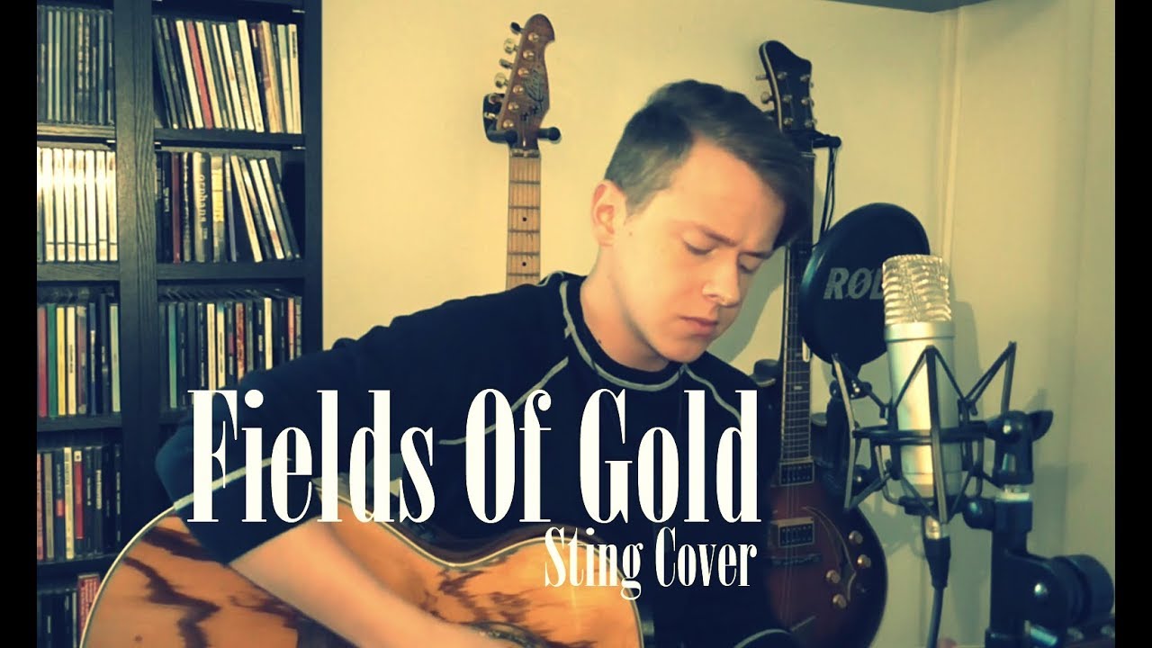 Fields Of Gold - Marius Deutsch [Sting Acoustic Cover]