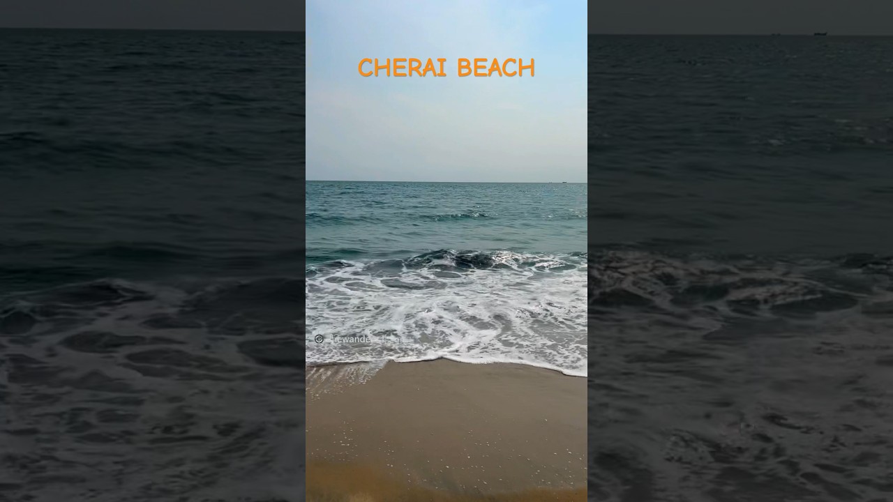 Kochi&rsquo;s best beach! The Cherai beach! #travelshorts #destination #beach #cherai #kochi #kerala