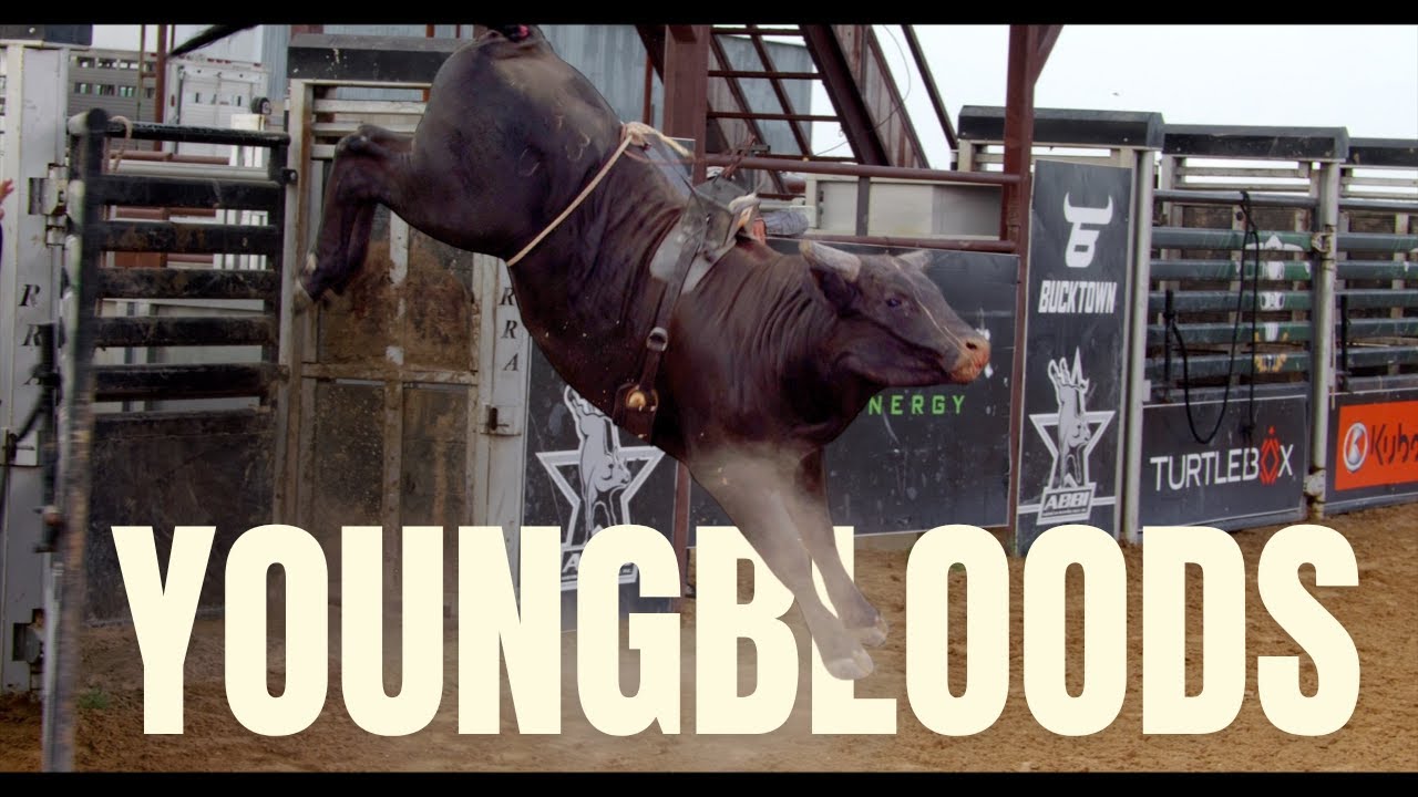 Mauney's Youngbloods: Breaking In the Next Pen of Buckers