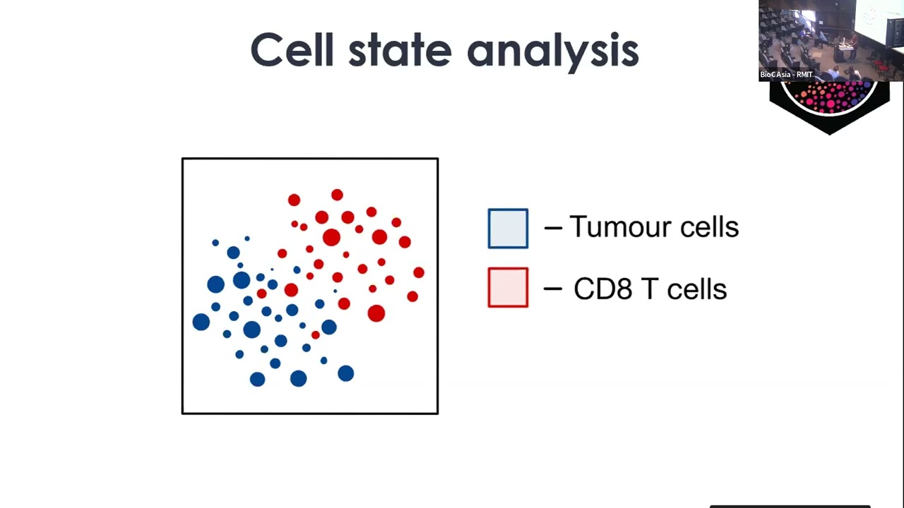 A Bioconductor Framework for High-dimensional in situ Cytometry Analysis