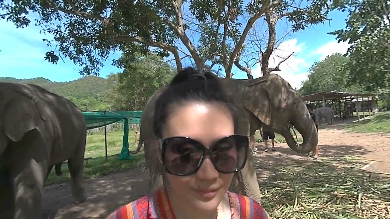 Elephant Tour (slow-mo)Chiang Mai Thailand, 7/8/2023