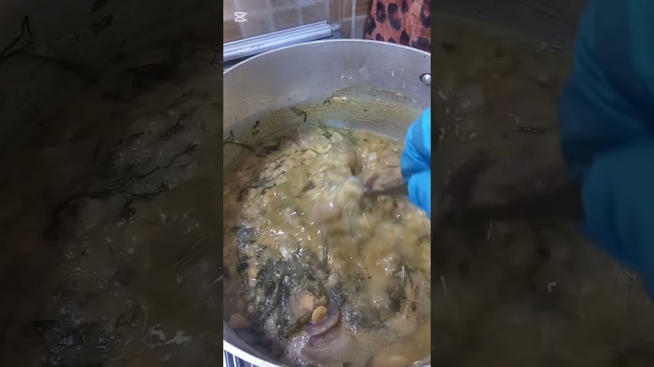 #البصاره وجمالها 