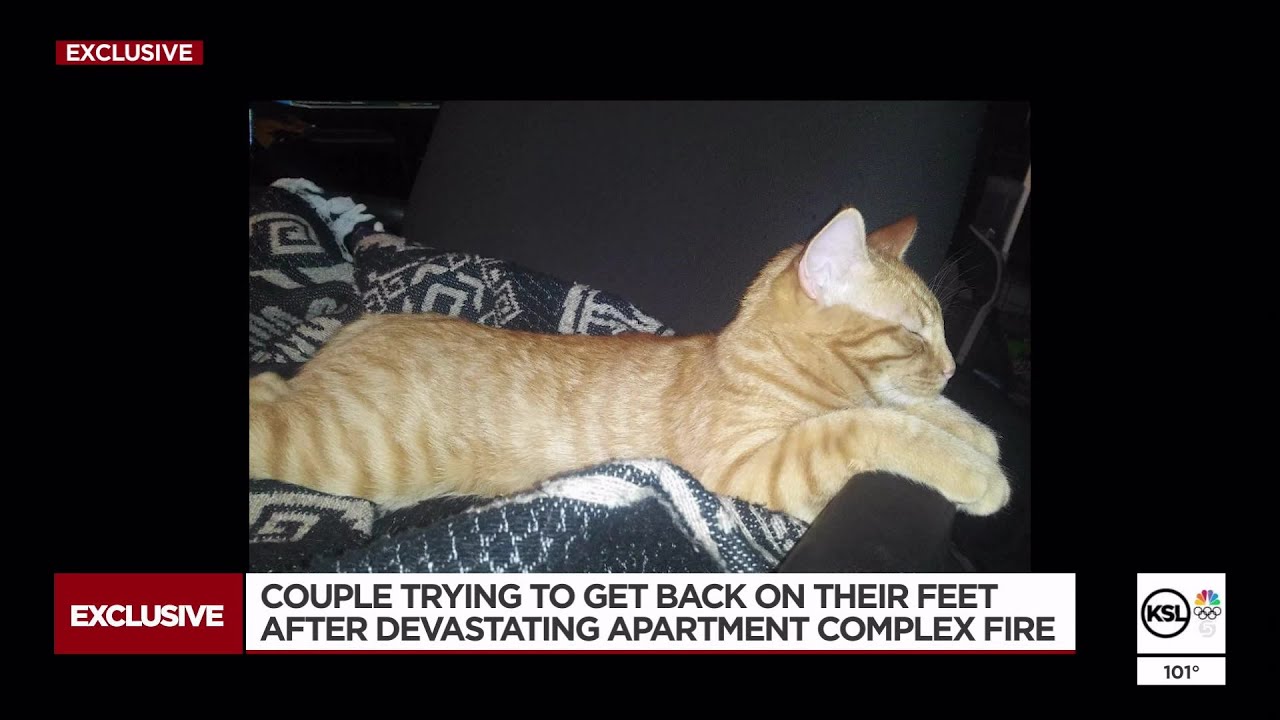 Couple Grateful For Community Help, Support After Losing Cat In Apartment Fire