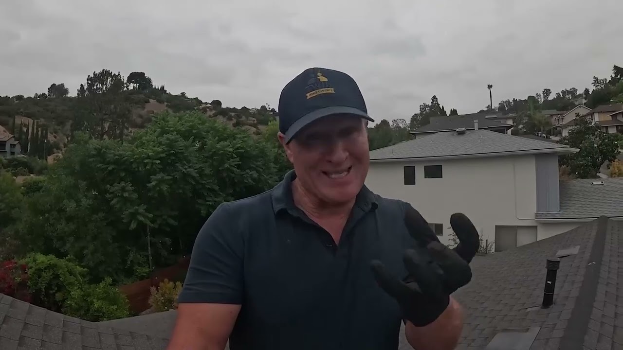 El 98% de las personas no sabe cómo acabar con las cucarachas! 🪳