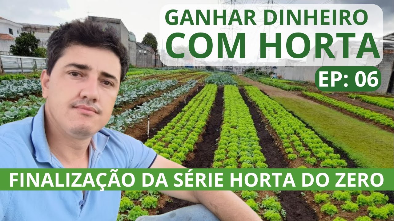CONCLUSÃO DA SÉRIE HORTA DO ZERO - EP - 06 - DANIEL BARONI